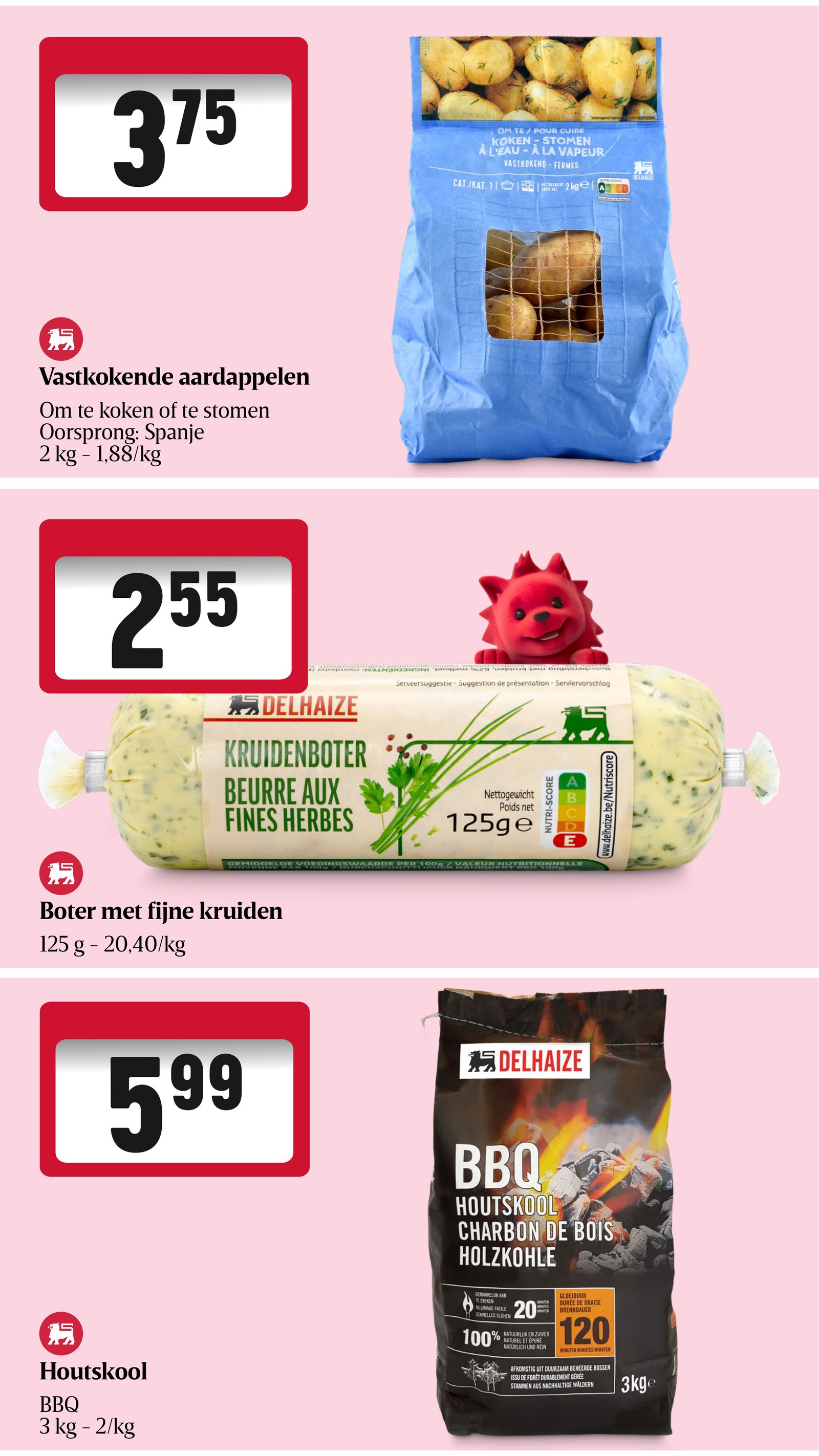 Promotiepagina 13