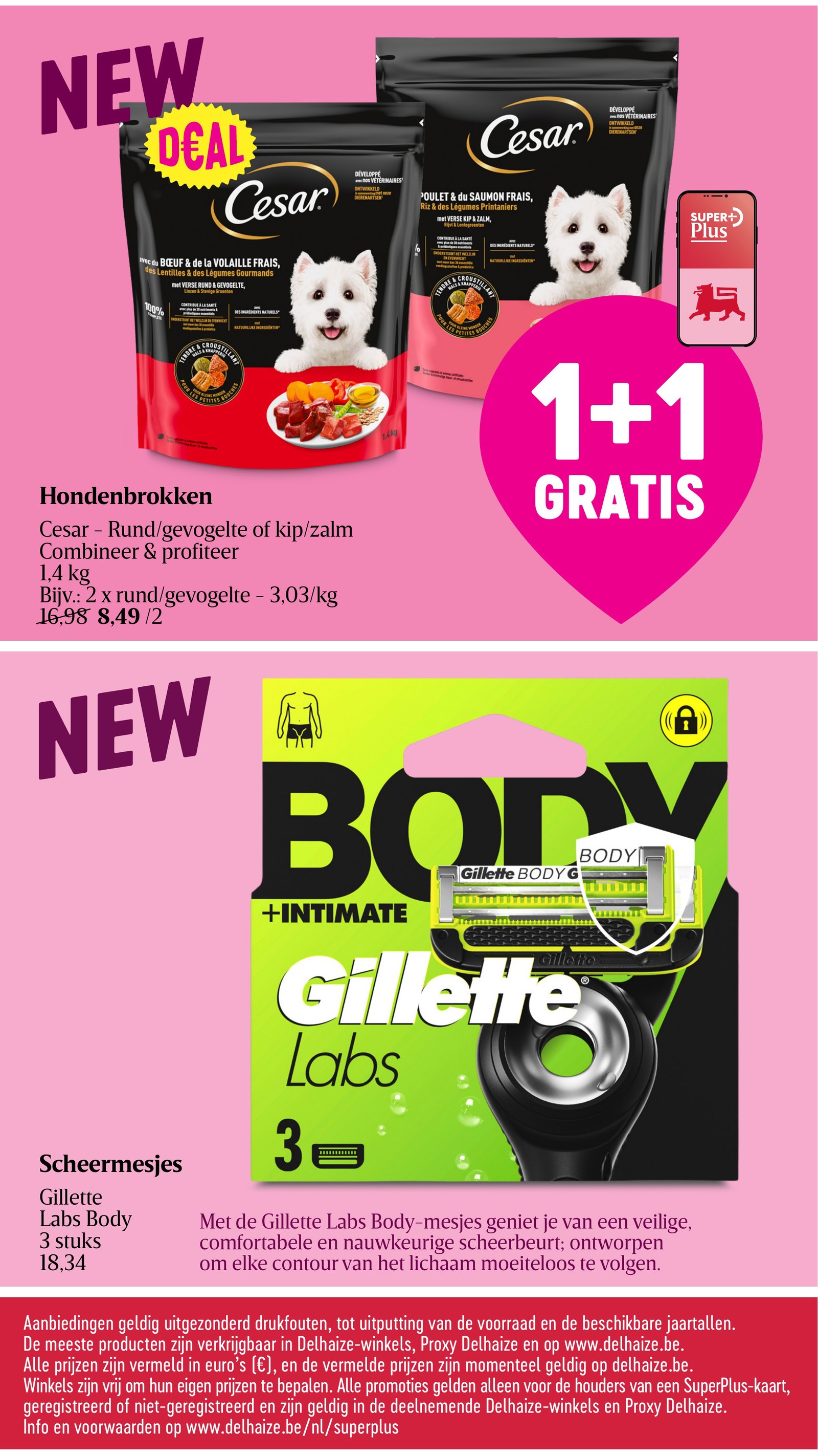 Promotiepagina 42